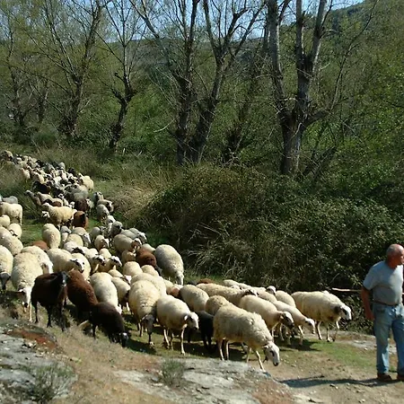 Holiday home Casa Do Moleiro *