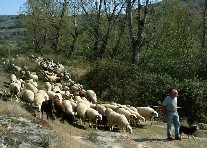 Casa vacanze Casa Do Moleiro *