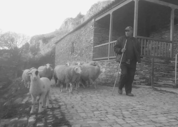 Casa Do Moleiro Mirandela